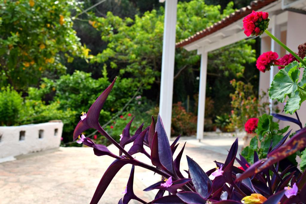 Eden Sea view studios Mesongí Exterior foto