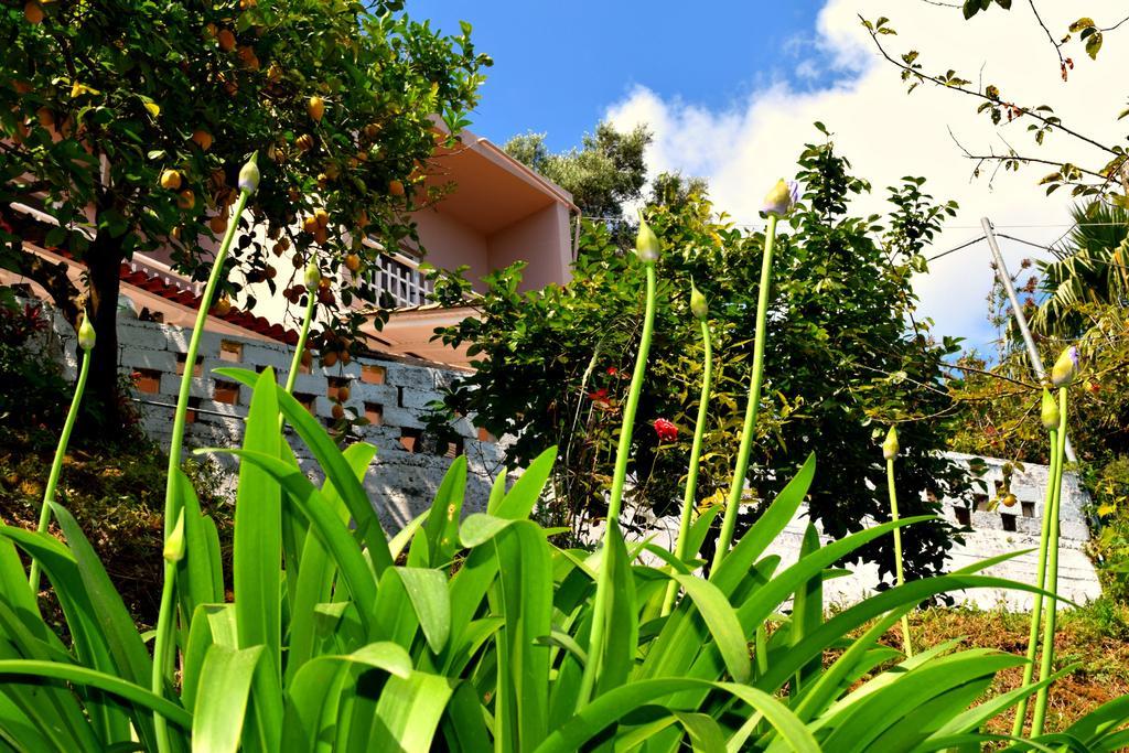 Eden Sea view studios Mesongí Exterior foto